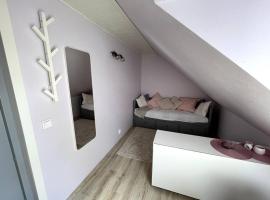 Small & Cozy Studio Apartment - WiFi & Free Parking，位于拉普拉的酒店