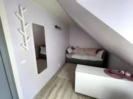 Small & Cozy Studio Apartment - WiFi & Free Parking