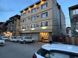 Hotel German Residency , Srinagar，位于斯利那加的酒店