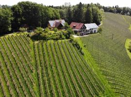 Weingut spitzyPeitler，位于洛伊查赫的住宿加早餐旅馆