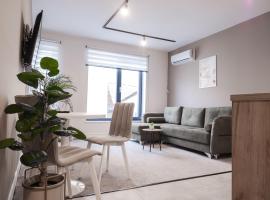 GAVAS Modern Central Apartments，位于克卢日-纳波卡的舒适型酒店