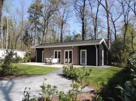 Luxury chalet with extra bathroom, near the Veluwe