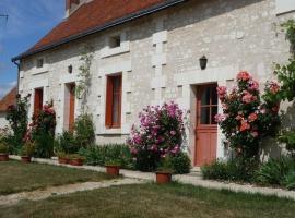 Gîte de charme en Touraine du Sud avec cheminée, jardin clos et équipement bébé, proche Loches - FR-1-381-40，位于Saint-Senoch的酒店