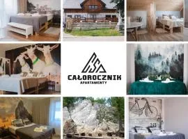 Całorocznik Skała & Apartamenty