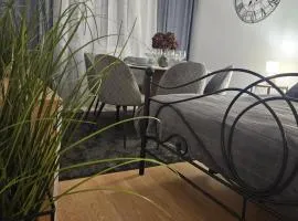 Apartament Diselvio