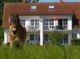 Cosy apartment in Garz