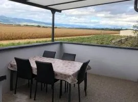 Maison charmante à Munwiller avec terrasse et parking gratuit.