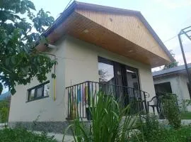 Venerikas Hut (ვენერიკას ქოხი)