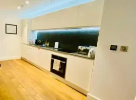 Luxury Spacious Apartment