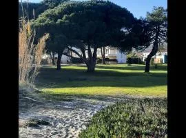 Location appartement les pieds dans l'eau, Résidence Aqua Linda à Poggio-Mezzana