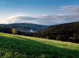 Hotel BUKOVINA，位于布科维纳-塔钱斯卡的度假村