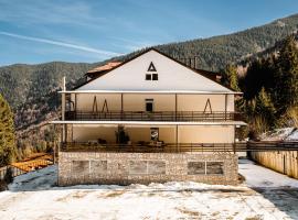 Alpina Retezat，位于莫里河乡的酒店