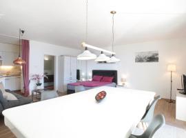VISTA LAGO casa Hulya，位于Orselina的酒店