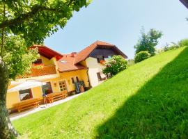 Apartments Organic Tourist Farm Gradišnik，位于Prevalje的酒店