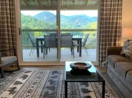 Modern Franklin Cabin w/ Stunning View now w/ WiFi