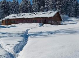 Roseland Cottage , Gulmarg，位于古尔马尔格的酒店