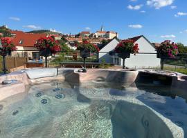 Apartmány Pod Novou，位于米库洛夫的酒店