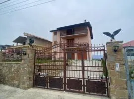 Belvedere House