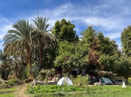 Salatoos Mango Garden and Guesthouse，位于阿斯旺的酒店