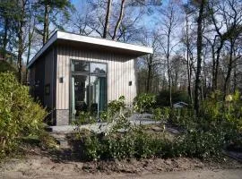 Tiny house with a decorative fireplace near the Veluwe