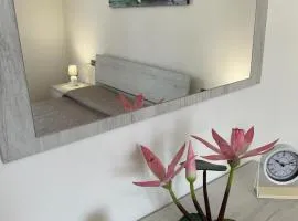 Water Lily Apartment