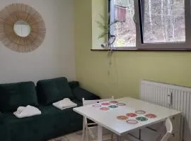 Apartamenty Ustroń Wczasowa 90