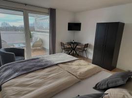 Penthouse Apartment in Kehl，位于莱茵河畔凯尔的酒店