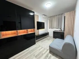 Cozy black 1 bedroom apartment