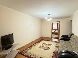 Двухкомнатная 67 квартира в центре
