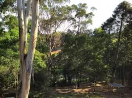 Peaceful Lakeview Retreat in North Maleny