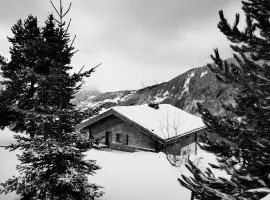 Chalet No 10, le Réconfort, accès skis aux pieds à Saint-François-Longchamp - Valmorel