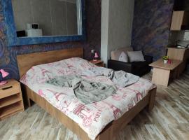 АРТ 3，位于斯利文的酒店