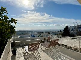 Tolila Sidi Bou Said, grande terrasse avec vue，位于西迪·布·赛义德的公寓