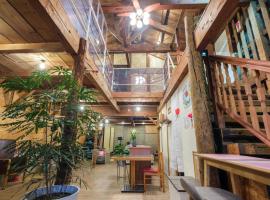 Stone Lodge 小樽，位于Kita-hamachō的酒店