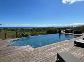 Villa Deluxe l'Hacienda Villa vue mer 180 piscine jacuzzi proche plage marina golf pointe des châteaux et casino jardin clos voyage durable