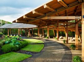 1 Hotel Hanalei Bay，位于普林斯维尔的宠物友好酒店