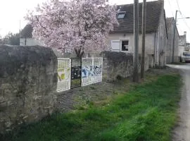 Gîte paisible avec cour privée, proche Parc Naturel de la Brenne, idéal pour séjour déconnecté - FR-1-591-575