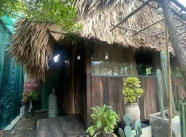 Cactos Bar & Homestay