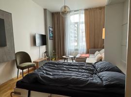 Studio apartment，位于奥斯陆的公寓