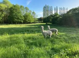 Dragonfly Lodge Ifold & Alpaca My Tipi Glamping