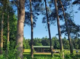 The Retreat 1 bed cabin in the woods
