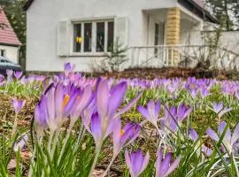 Ferienhaus am weißen Adler