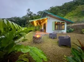 Eternal Rain Forest House