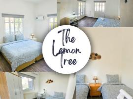 The Lemon Tree Hostel，位于拉纳卡的青旅