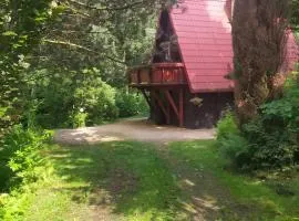 Cottage in the picturesque Beskid Maly Mountains