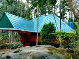 Livi Homestay