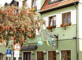Hotel-Garni Goldener Schwan，位于巴特温茨海姆的酒店