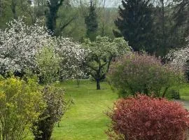 Chambre dans jolie nature