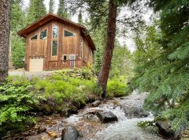 Mill Creek Cabin - Dumont，位于Dumont的酒店
