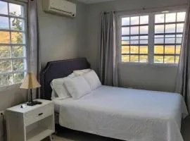 Coamo Beautiful house, AC, 10min Coamo hot springs